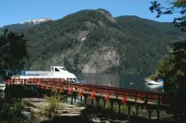 PN Los Alerces. Chubut. Argentina jigsaw puzzle