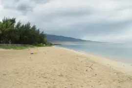 tsangpo jigsaw puzzle