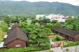 ç”°ç”°çŽ‹ jigsaw puzzle