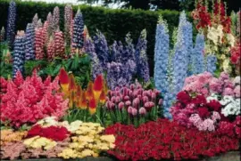 jardin jigsaw puzzle