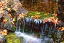 cachoeira jigsaw puzzle