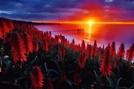 paisagem jigsaw puzzle