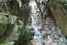 POLO POLO jigsaw puzzle