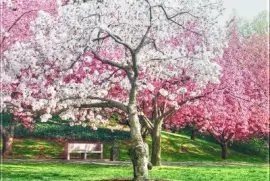 NÂº 561 jigsaw puzzle