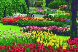 Garden jigsaw puzzle