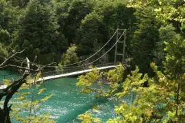 PN Los Alerces. Chubut. Argentina jigsaw puzzle