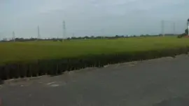 å˜‰ç¾© jigsaw puzzle