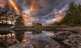 פאזל של NÂº 785