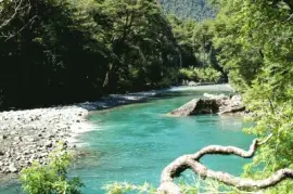 PN Los Alerces. Chubut. Argentina jigsaw puzzle