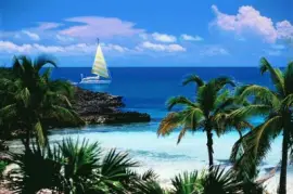 NÂº 786 jigsaw puzzle