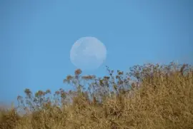 Lua Cheia jigsaw puzzle