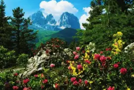 Sassolungo val gardena. Italia jigsaw puzzle