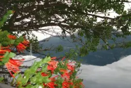 Lago Moreno. RÃ­o Negro. Argentina jigsaw puzzle