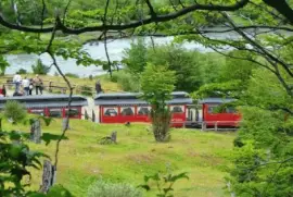 En Ushuaia. Tierra del Fuego. Argentina