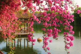 NÂº 802 jigsaw puzzle