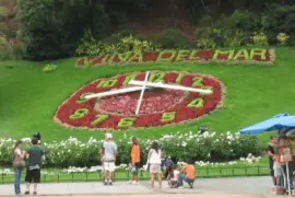 Reloj de flores ViÃ±a del Mar