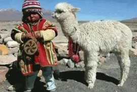 NiÃ±o y llama, altiplano