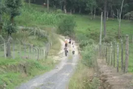 Trabalho de campo rural