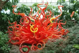 maravillosa naturaleza