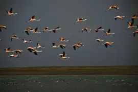 huyendo de la tormenta