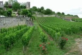 Saint-Ã‰milion. Francia