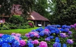 NÂº 1001 jigsaw puzzle