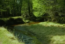 Ushuaia. Tierra del Fuego. Argentina jigsaw puzzle