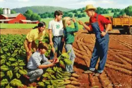 roÃ§a jigsaw puzzle