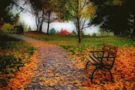 cenÃ¡rio jigsaw puzzle