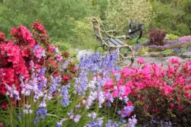 Dreamers Corner - Secret Garden jigsaw puzzle