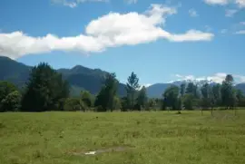 Sur de Chile,RiÃ±inahue jigsaw puzzle