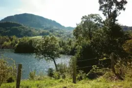 Camino a Pto Montt Chile jigsaw puzzle