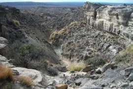 En la Provincia de NeuquÃ©n. Argentina jigsaw puzzle