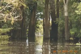 IgapÃ³s - Comunidade SÃ£o Tome - AM jigsaw puzzle