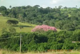 Bela Natureza jigsaw puzzle