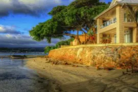 NÂº 1014 jigsaw puzzle