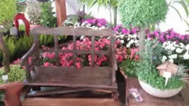 jardim jigsaw puzzle