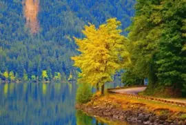 NÂº 1017 jigsaw puzzle