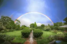 jardin jigsaw puzzle