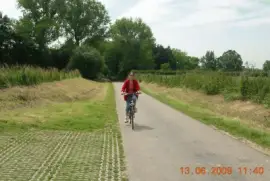 Bicycle in Baie de Somme (France) jigsaw puzzle
