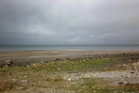 Camino a Pto Montt Chile jigsaw puzzle