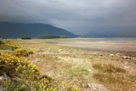 Camino a Pto Montt jigsaw puzzle