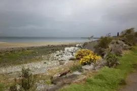 Camino a Pto Montt Chile jigsaw puzzle