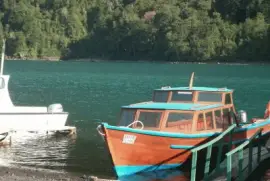 Lago Todos Los Santos,Pto Varas jigsaw puzzle