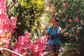 Sandra jigsaw puzzle