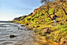 El ParanÃ¡ en Entre RÃ­os. Argentina jigsaw puzzle