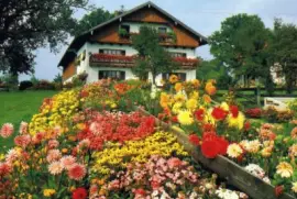 Paisatje jigsaw puzzle