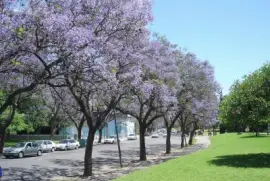 Rosario. Santa Fe. Argentina jigsaw puzzle