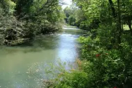 Arroyo ChapÃ¡. OberÃ¡. Misiones. Argentina jigsaw puzzle