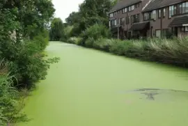 Alphen aan den Rijn. Holanda jigsaw puzzle